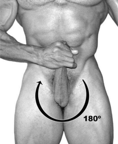 Rotation of the penis to increase it